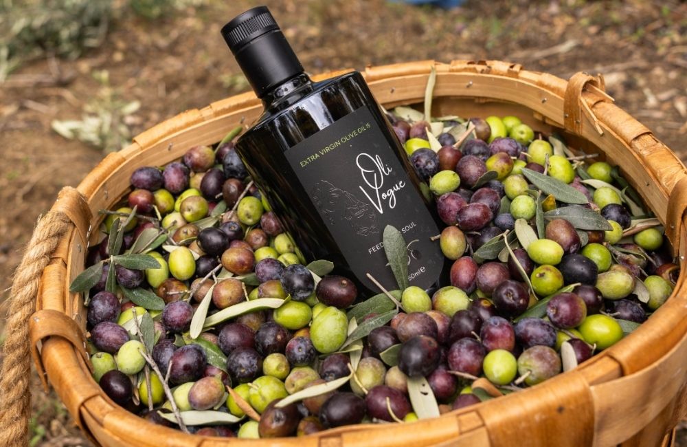 Soğuk Sıkım Zeytinyağı