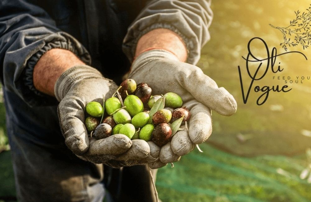 Soğuk Sıkım Zeytinyağı